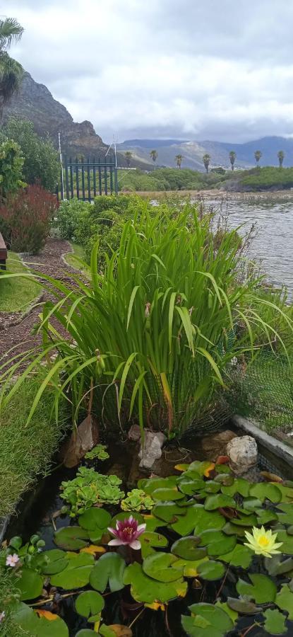 Vlei Cove Guesthouse Kapstaden Eksteriør billede